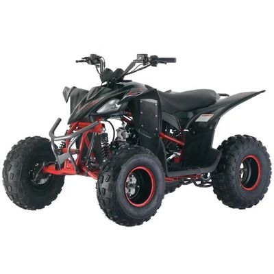 Gasbetriebenes Vierräder ATV 125cc mit Automatik CVT und Kraftstoffsystem