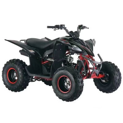Gasbetriebenes Vierräder ATV 125cc mit Automatik CVT und Kraftstoffsystem