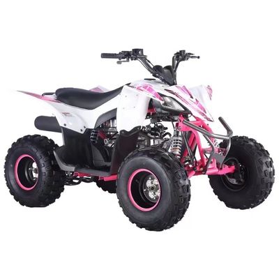 Gasbetriebenes Vierräder ATV 125cc mit Automatik CVT und Kraftstoffsystem