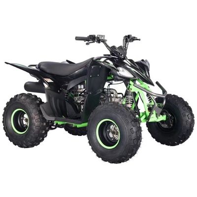 Gasbetriebenes Vierräder ATV 125cc mit Automatik CVT und Kraftstoffsystem