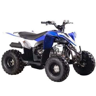 Gasbetriebenes Vierräder ATV 125cc mit Automatik CVT und Kraftstoffsystem