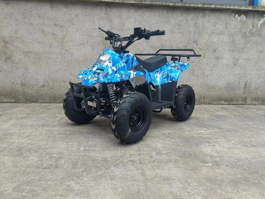 70CC/110CC Automatisches Quad Spaß Spielzeug ATV Buggy für Jugendliche mit 1 Zylinder und erschwinglich