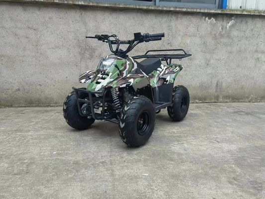 70CC/110CC Automatisches Quad Spaß Spielzeug ATV Buggy für Jugendliche mit 1 Zylinder und erschwinglich