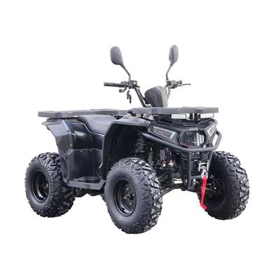 Farm ATV Quad Bike 200cc ATV Räder Kettenantrieb Höchstgeschwindigkeit 50-75Km/h 250cc 300cc