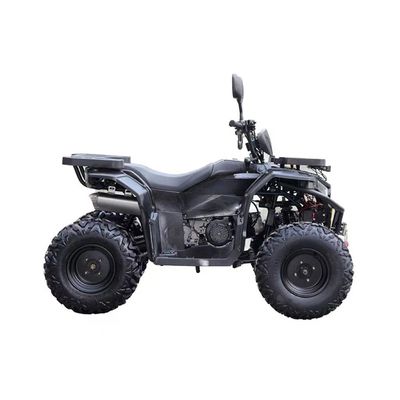 Farm ATV Quad Bike 200cc ATV Räder Kettenantrieb Höchstgeschwindigkeit 50-75Km/h 250cc 300cc