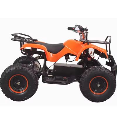 Teenager und Erwachsene Elektro-ATVS 48V 1000W Aotong Motor mit CE-Zertifizierung
