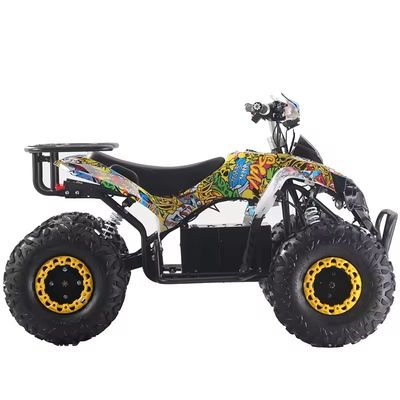 angepasste Farben 1000W/1500W ATV Quads mit Ft Disc Rr Disc Brake