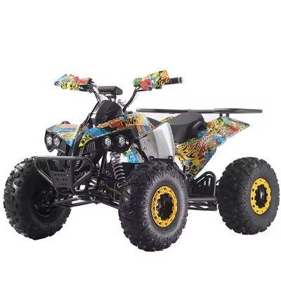 angepasste Farben 1000W/1500W ATV Quads mit Ft Disc Rr Disc Brake