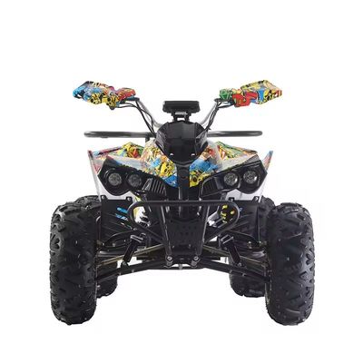 angepasste Farben 1000W/1500W ATV Quads mit Ft Disc Rr Disc Brake