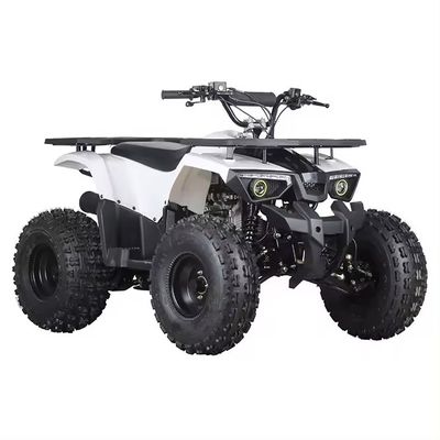 125CC 4-Takt ATV Vierräder Quad Bike mit 1 Zylinder und Radstand 600-1000mm