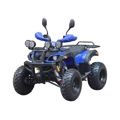 Maximaldrehmoment Nm ≤20Nm Vierräder Offroad ATV Motor 250cc mit Radstand 600-1000mm