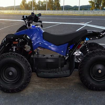 1000W 36V 48V Kettenantrieb ATV für eine Mindestfreiheit ≤ 100mm Leistung