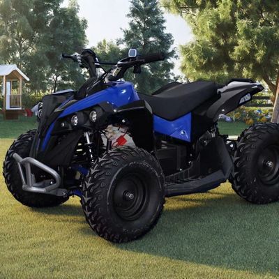 1000W 36V 48V Kettenantrieb ATV für eine Mindestfreiheit ≤ 100mm Leistung