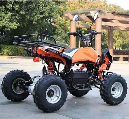 800w/1000w 48v/60v ATV Bürstenloser Motor Elektrisch 4 Rad Quad Bike ATV für eine reibungslose Fahrt