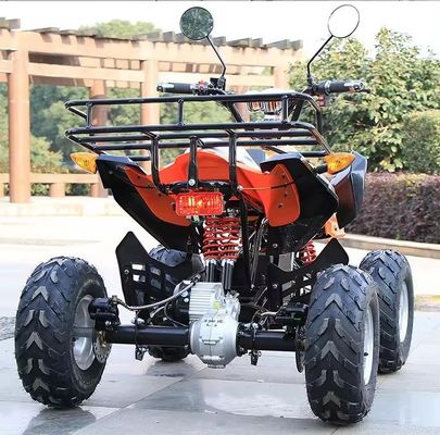 800w/1000w 48v/60v ATV Bürstenloser Motor Elektrisch 4 Rad Quad Bike ATV für eine reibungslose Fahrt