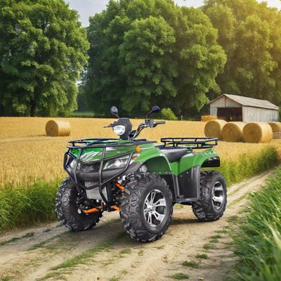250cc Rennwagen mit Automatikgetriebe und 150-200mm Mindestfreiraum