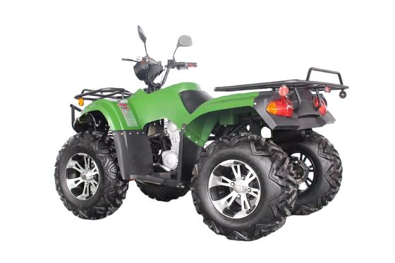 250cc Rennwagen mit Automatikgetriebe und 150-200mm Mindestfreiraum