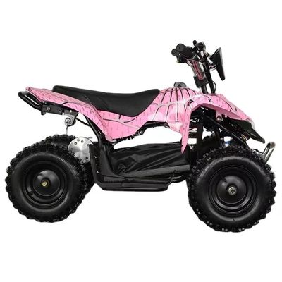 1000W 36V Kids Mini Fast Electric Quad Bike ATV CE mit maximalem Drehmoment von 40-60Nm