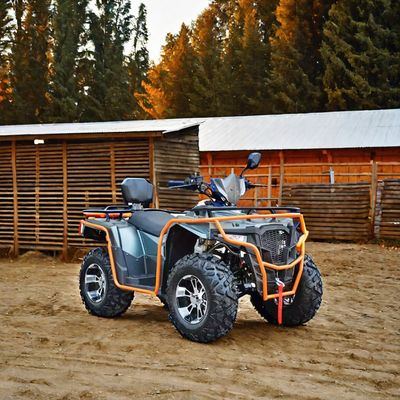 Persönlich angepasste Farben 2024 Farm Quads 300cc 4x4 Big Power Utility ATV mit Grade Ability
