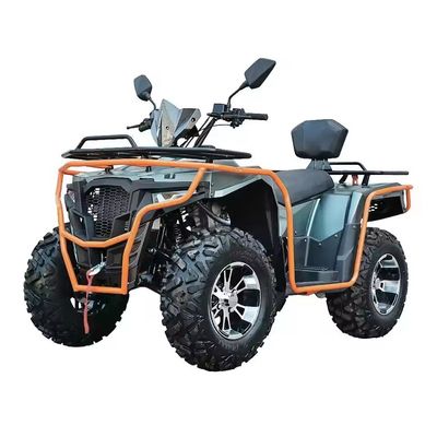 Persönlich angepasste Farben 2024 Farm Quads 300cc 4x4 Big Power Utility ATV mit Grade Ability