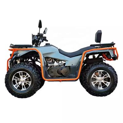 Persönlich angepasste Farben 2024 Farm Quads 300cc 4x4 Big Power Utility ATV mit Grade Ability