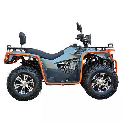 Persönlich angepasste Farben 2024 Farm Quads 300cc 4x4 Big Power Utility ATV mit Grade Ability