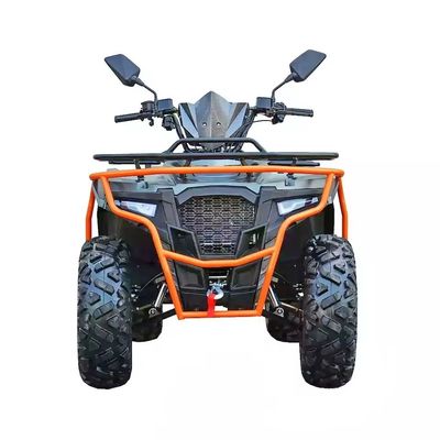 Persönlich angepasste Farben 2024 Farm Quads 300cc 4x4 Big Power Utility ATV mit Grade Ability