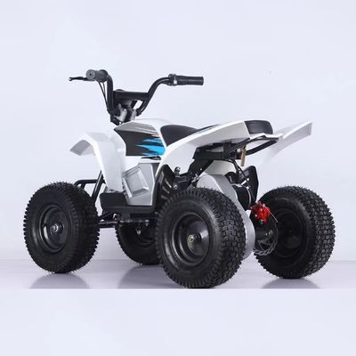 Maximaldrehmoment ≤ 20Nm 24V Elektro Dune Buggy ATV Quad Bike für Kinder von Aotong Motor