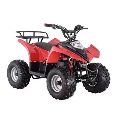 Elektrische Viereckfahrzeuge für Kinder 750W 800W 1000W 48V Reifen 16x8-7 Fahrleistung ≤ 30 km