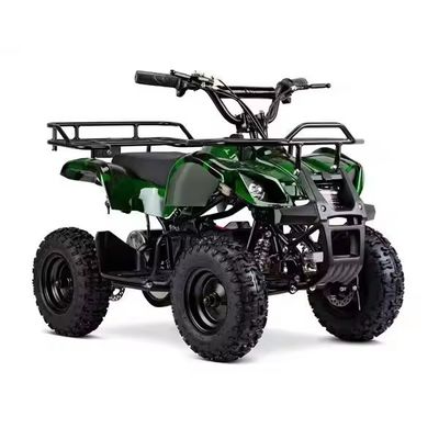 Customzied unterstützte Farben Mini Electric ATV Electric Quad für Kinder 1000W 36V