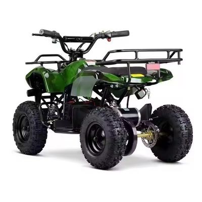 Customzied unterstützte Farben Mini Electric ATV Electric Quad für Kinder 1000W 36V