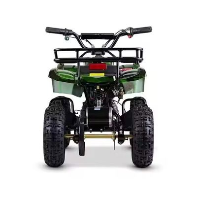 Customzied unterstützte Farben Mini Electric ATV Electric Quad für Kinder 1000W 36V