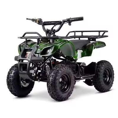 Customzied unterstützte Farben Mini Electric ATV Electric Quad für Kinder 1000W 36V