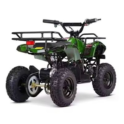 Customzied unterstützte Farben Mini Electric ATV Electric Quad für Kinder 1000W 36V