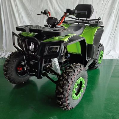 Erschwingliche 250cc 4-Rad-ATV-Motorrad mit anpassbaren Farben unterstützt