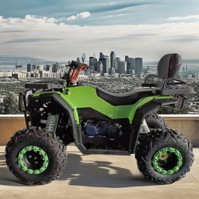 250cc Hubraum Viertakt-Luftgekühltes Benzin-ATV-Motorrad für 2WD Fahrspaß