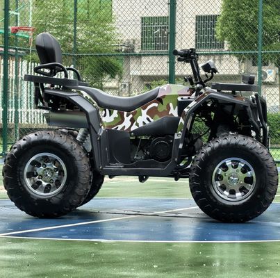 Entfesseln Sie Ihren inneren Abenteurer 250cc Automatisches Kettenantriebs ATV für Offroad-Fahren