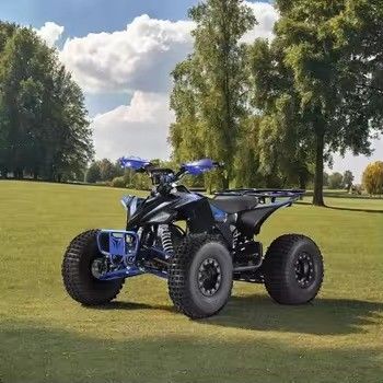 1500 Watt umweltfreundliches Vierräder-ATV Ladezeit h 7-9h Perfekt für Berge und Strände