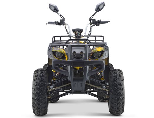 Elektrische ATV 4x4 für Erwachsene Maximaldrehmoment Nm ≤ 20Nm Rot/Blau/Schwarz/Grün/Gelb 3000 W