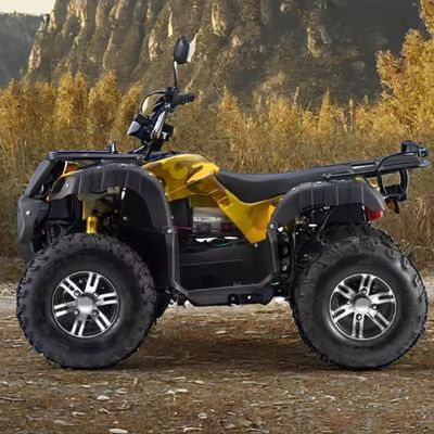 Erwachsene 3000W Elektro ATV Quad Gasbetrieben 2WD 4WD mit maximaler Geschwindigkeit von 50-75Km/h