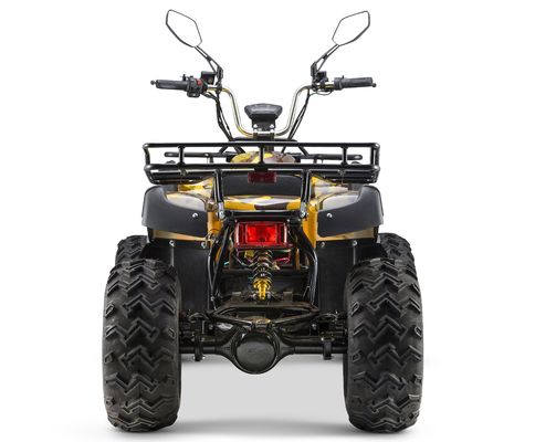 Wechselbares 2WD/4WD-Fahrzeug Typ 72V Elektroquad ATV Farm Utility Vehicle Buggy mit 7-9h Ladezeit