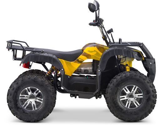 Wechselbares 2WD/4WD-Fahrzeug Typ 72V Elektroquad ATV Farm Utility Vehicle Buggy mit 7-9h Ladezeit