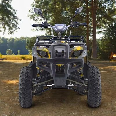 Leistungsstarker 3000W 1500W 4WD 4x4 Moto ATV UTV 1000cc Quad ATV mit Radstand 1800-2200mm