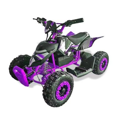 Elektrisches Mini ATV Quad Bike für Kinder 36V 500W Motor und 600-1000mm Radstand