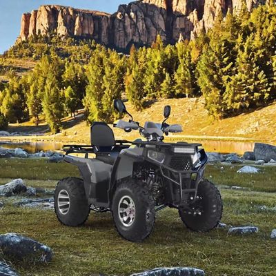 Automatisches Getriebe Typ Vierräder Offroad-Motorrad für Erwachsene, die Offroad fahren