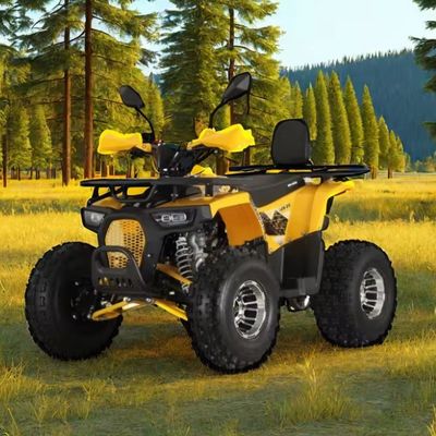 125cc Farm Quads ATV für Erwachsene Kraftstoff / Dieselmotor und Kettenantrieb