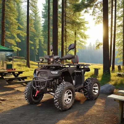 2WD Höchstgeschwindigkeit 50-75Km/h 125cc 150cc 200cc ATVs UTVs Off Road Cuatrimoto