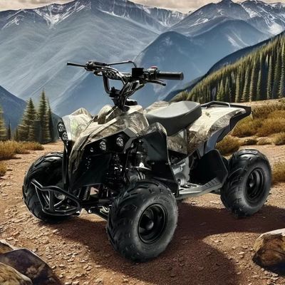 Gasbrennstoff 110CC ATV mit Kettenantrieb