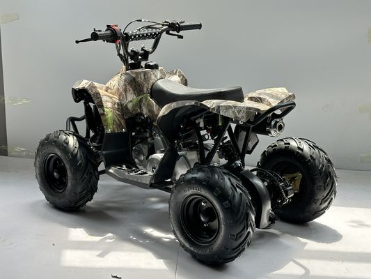 Gasbrennstoff 110CC ATV mit Kettenantrieb