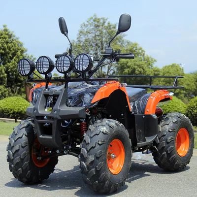 110cc 125cc ATV erschwinglicher automatischer Kettenantrieb mit nicht ausgestattetem Differenzialverschluss